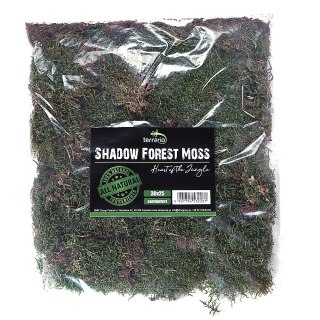 Terrario Shadow Forest Moss - mech naturalny 35x30cm