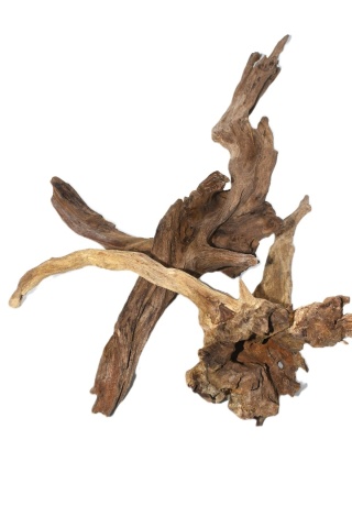 Korzeń Desert Ghost Roots do Terrarium - rozmiar L (ok. 30-35cm)