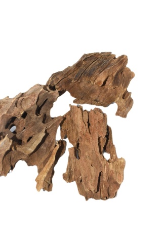 Korzeń Dragon Wood do Terrarium - rozmiar M ( 15-20cm)