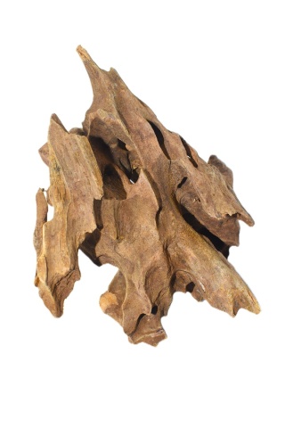 Korzeń Dragon Wood do Terrarium - rozmiar S ( 10-15cm)