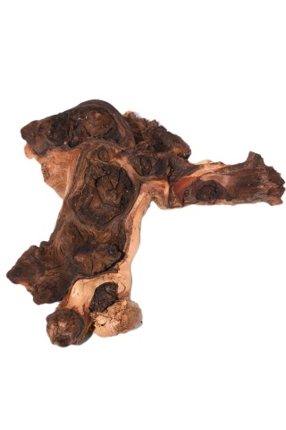 Korzeń Mopani do Terrarium - rozmiar S (ok. 10-15cm)