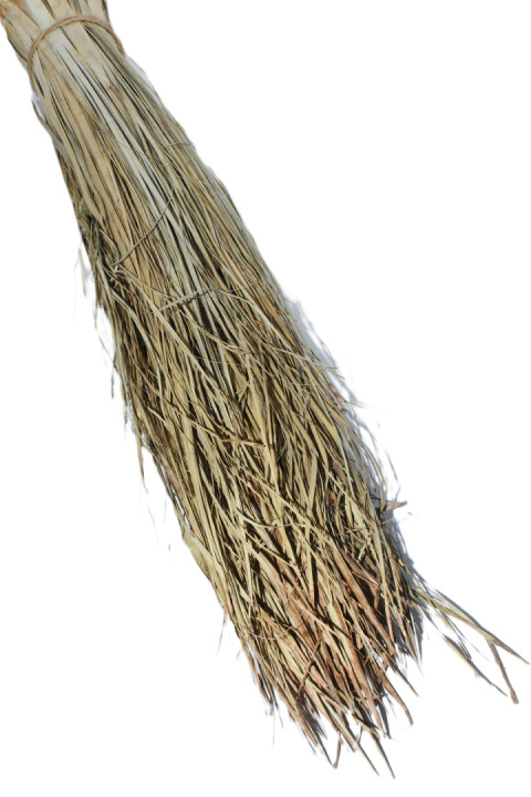 Strip grass 100g, Trawa do terrarium 35-50 cm,